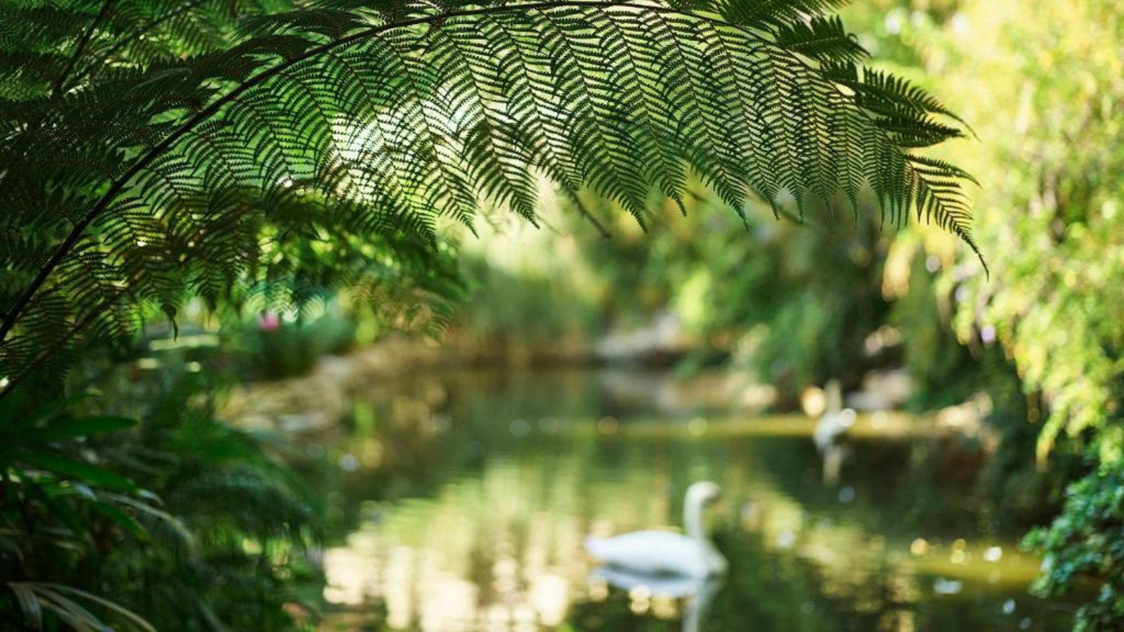 Hotel Bel-Air - Dorchester Collection