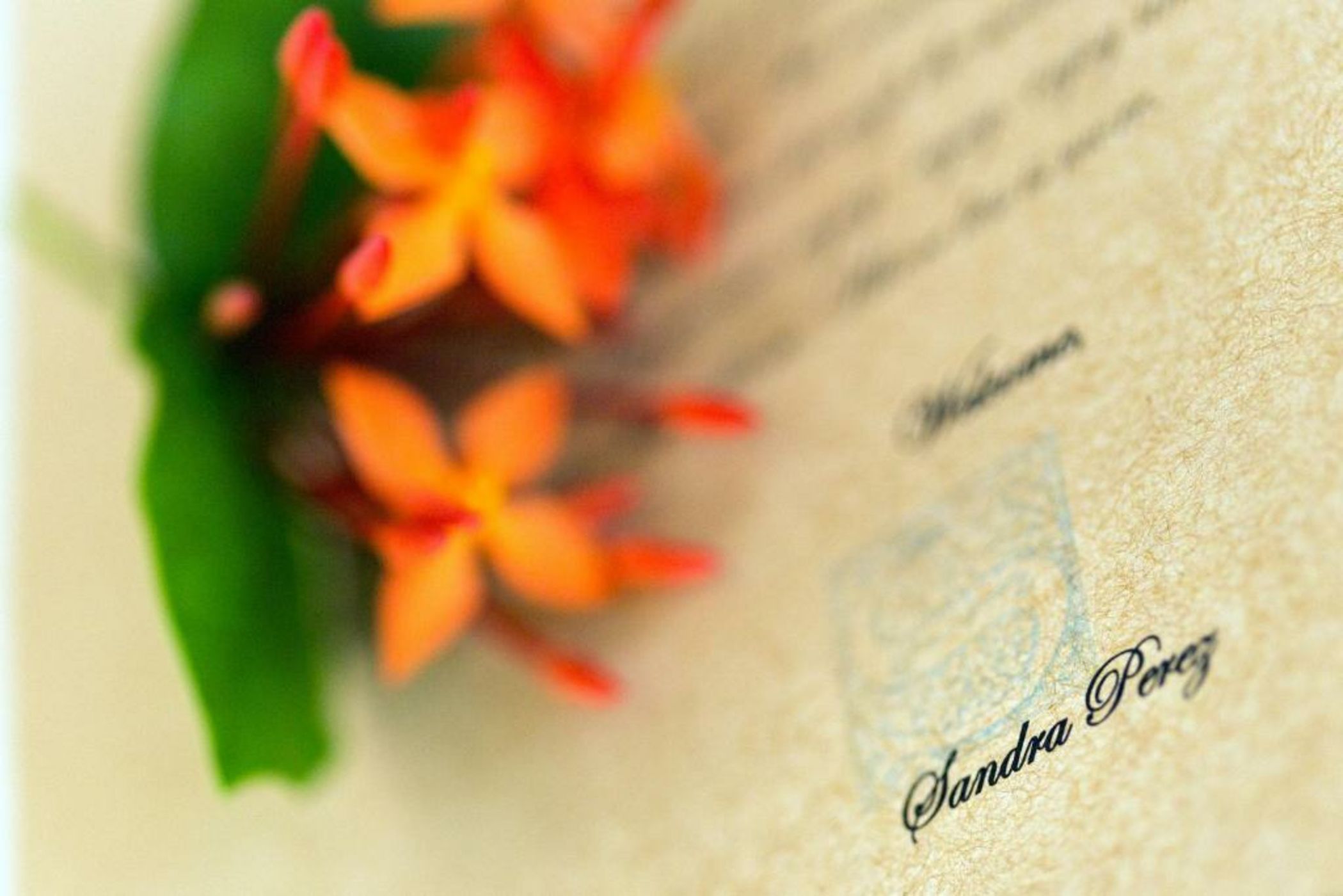 Ser Casasandra Boutique Hotel