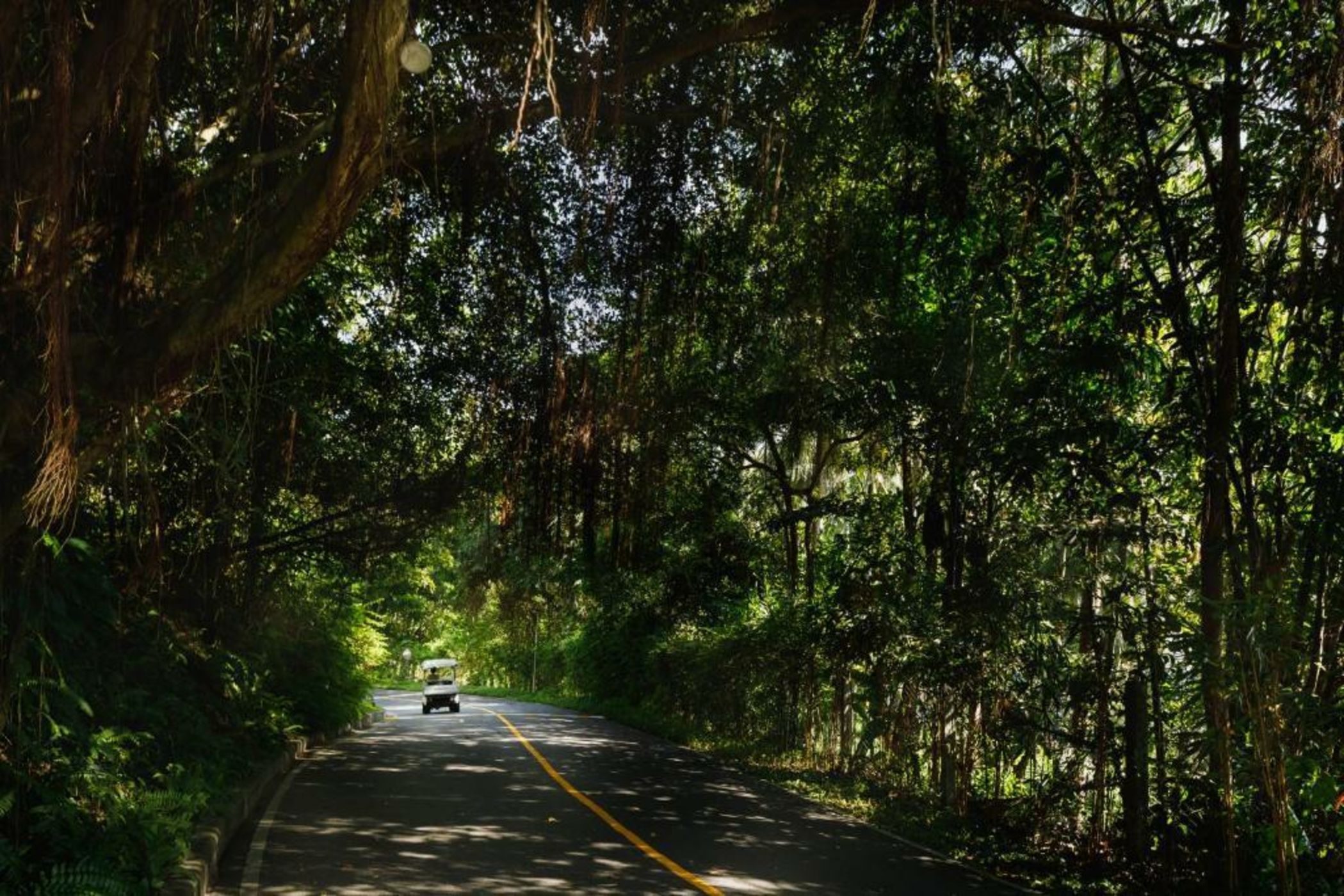 The Surin Phuket - SHA Extra Plus