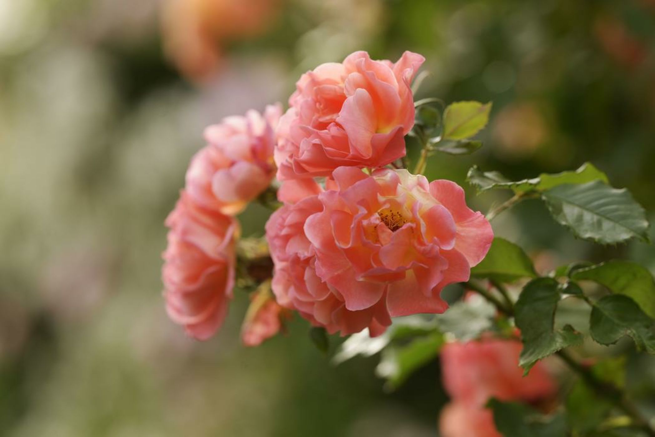 Byblos Art Hotel Villa Amistà