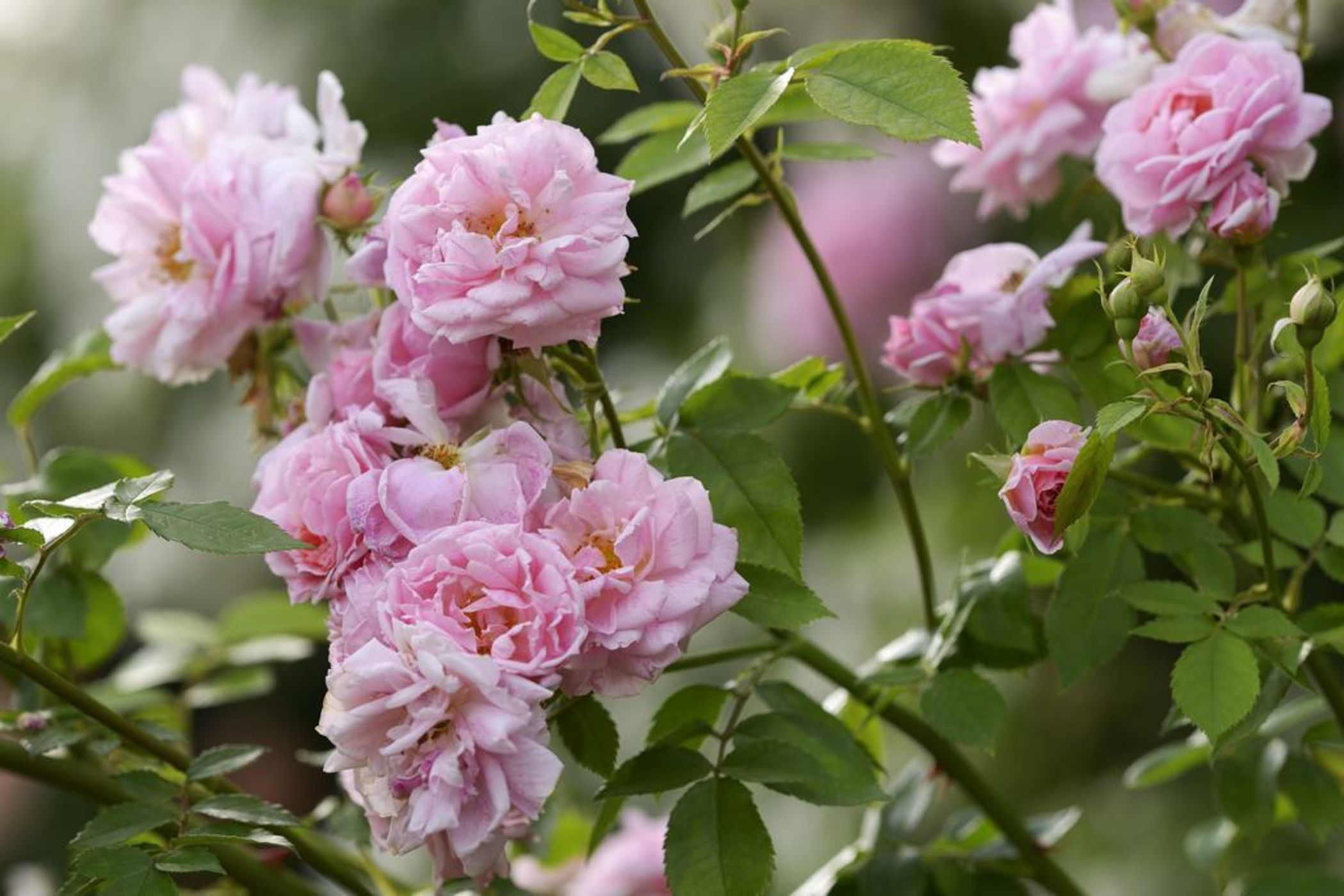 Byblos Art Hotel Villa Amistà