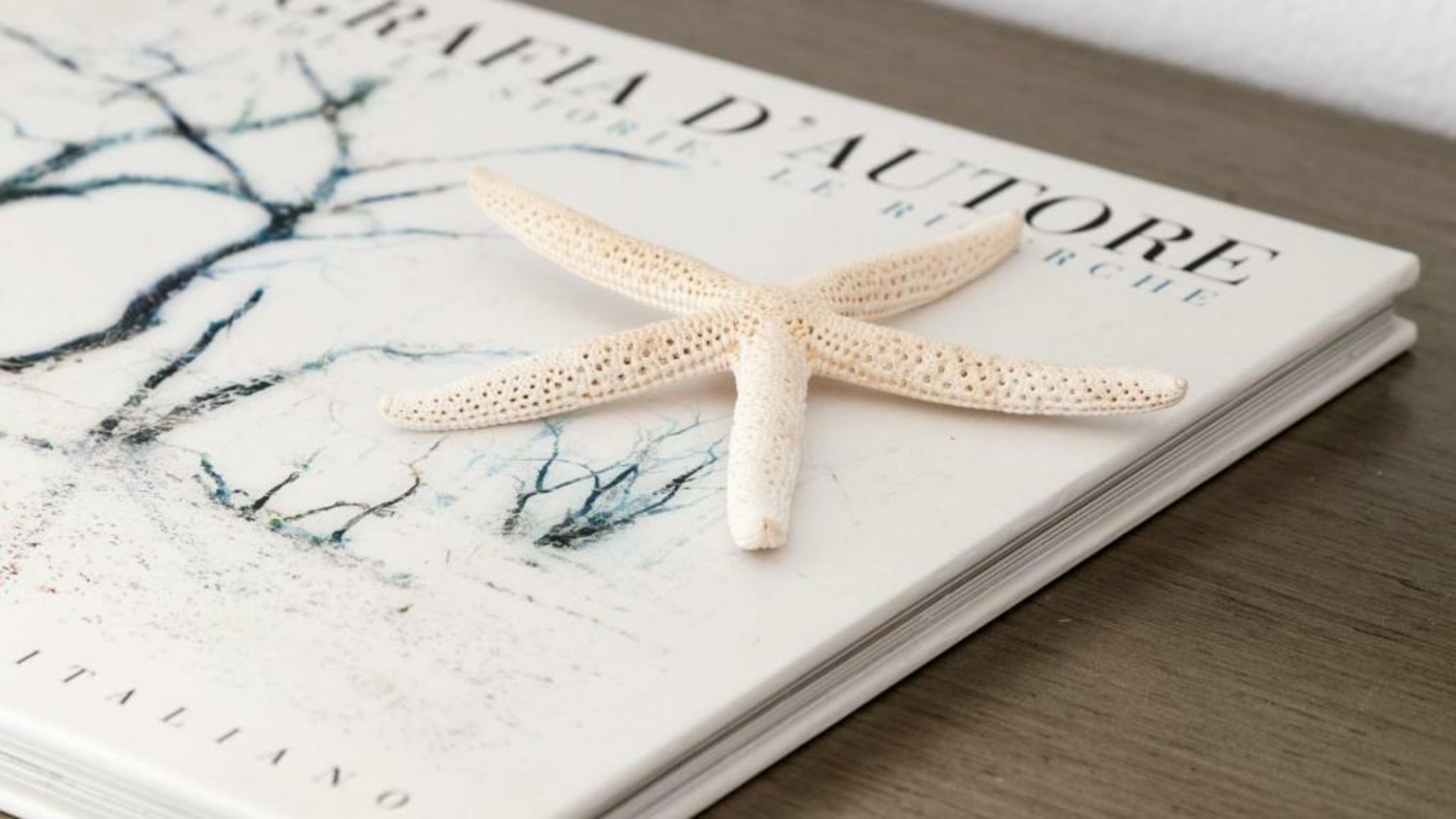 Lilly Residence-All Sea View Suites, Adults Only