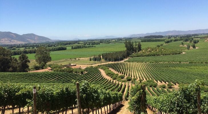 NOI Blend Colchagua