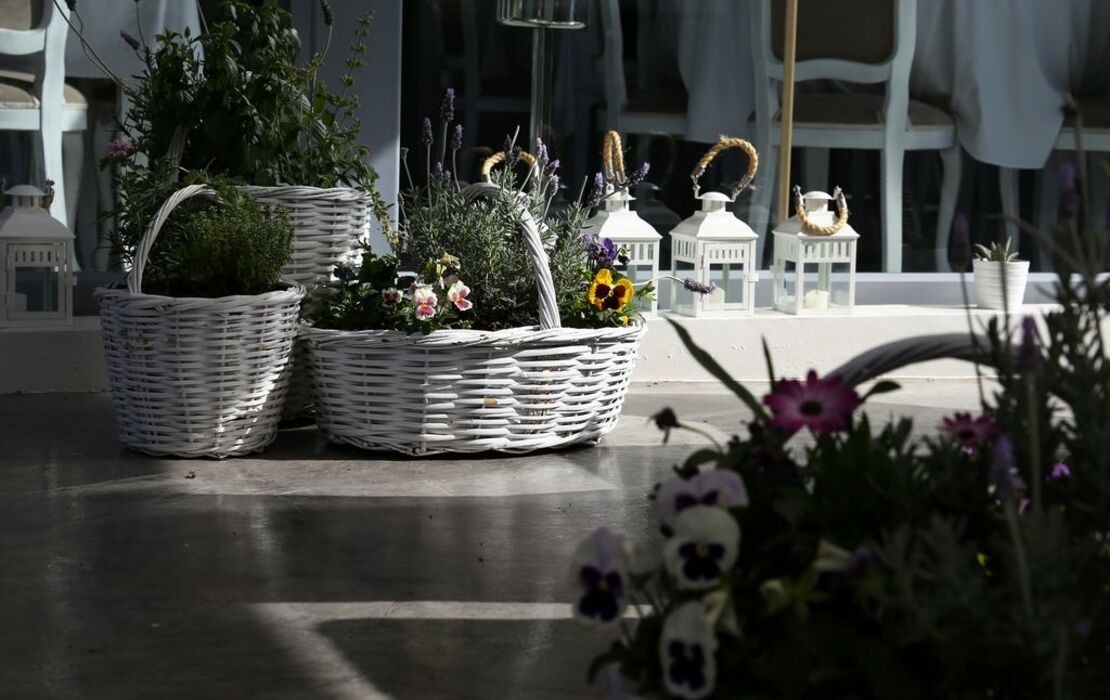 Micra Anglia Boutique Hotel & Spa