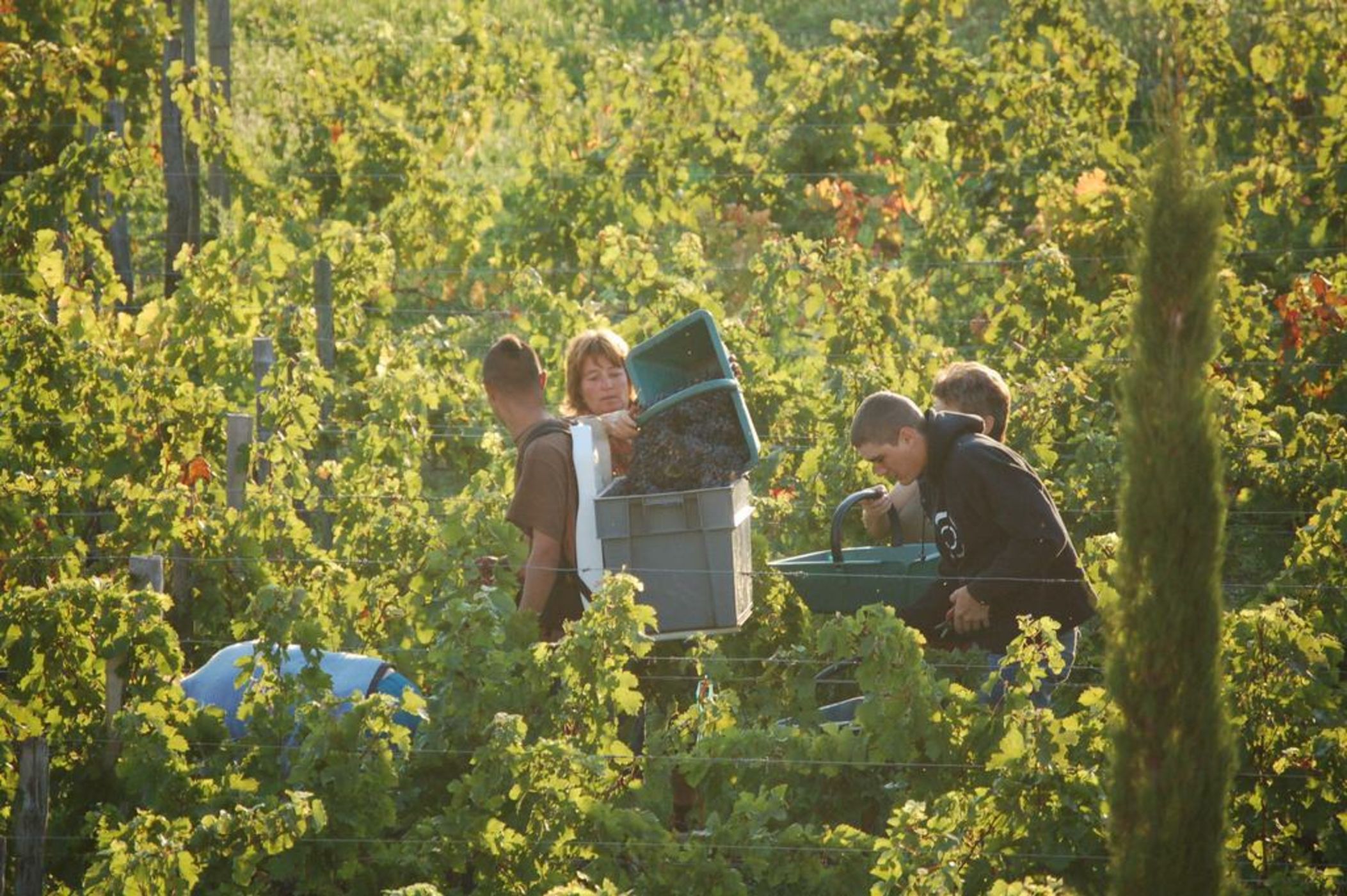 Le Pavillon Villemaurine