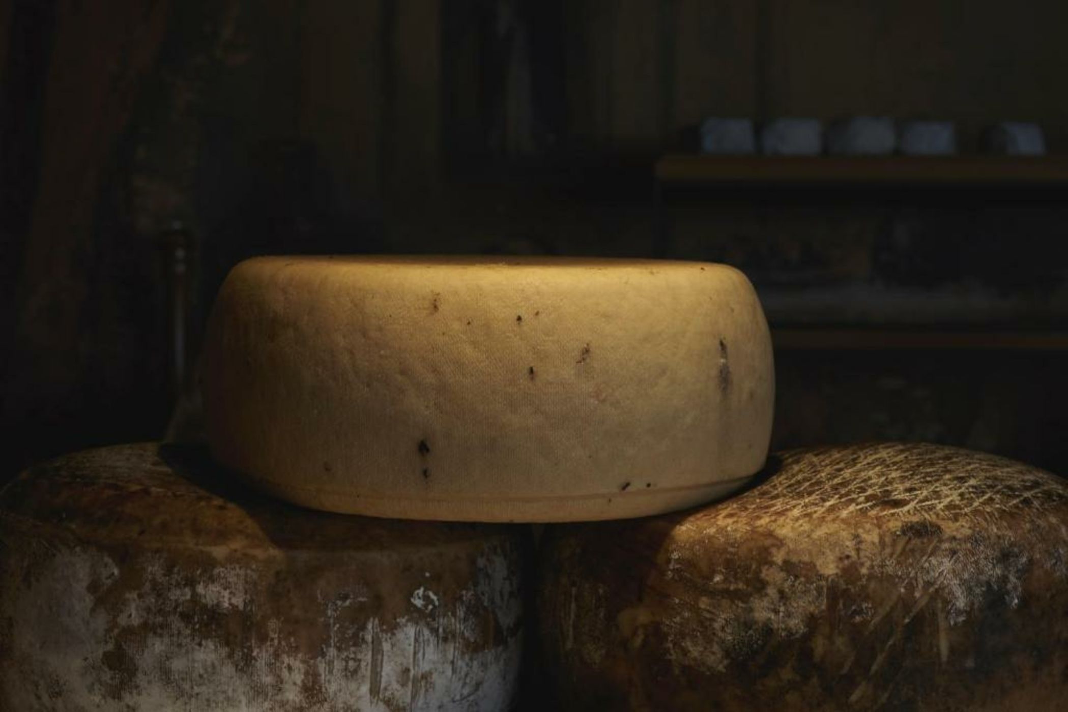 Hacienda Zorita Wine Hotel & Spa