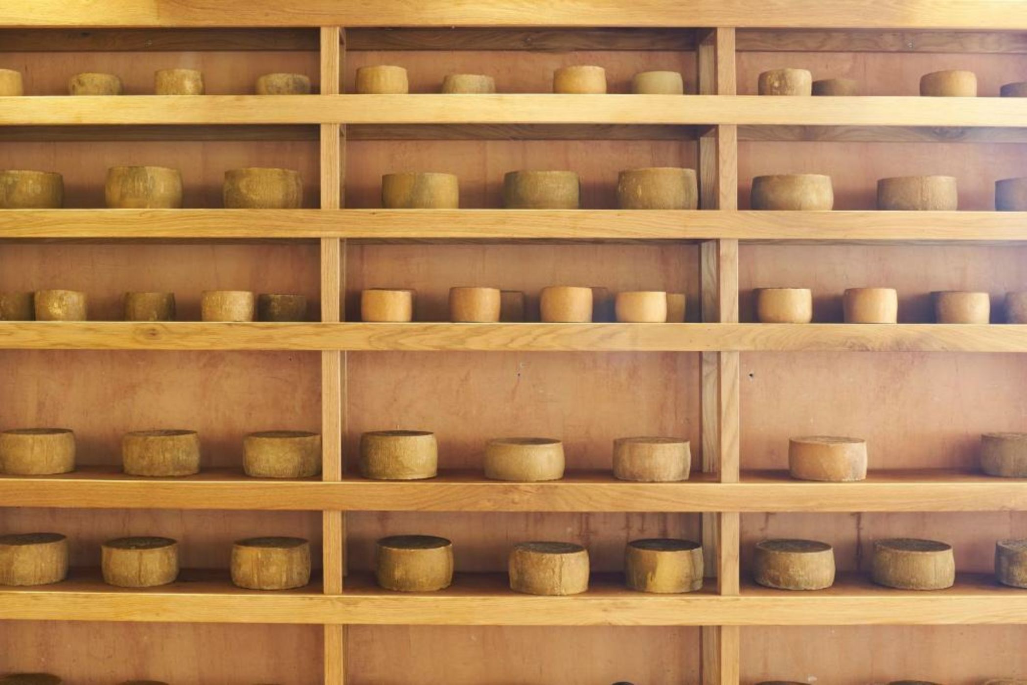 Hacienda Zorita Wine Hotel & Spa