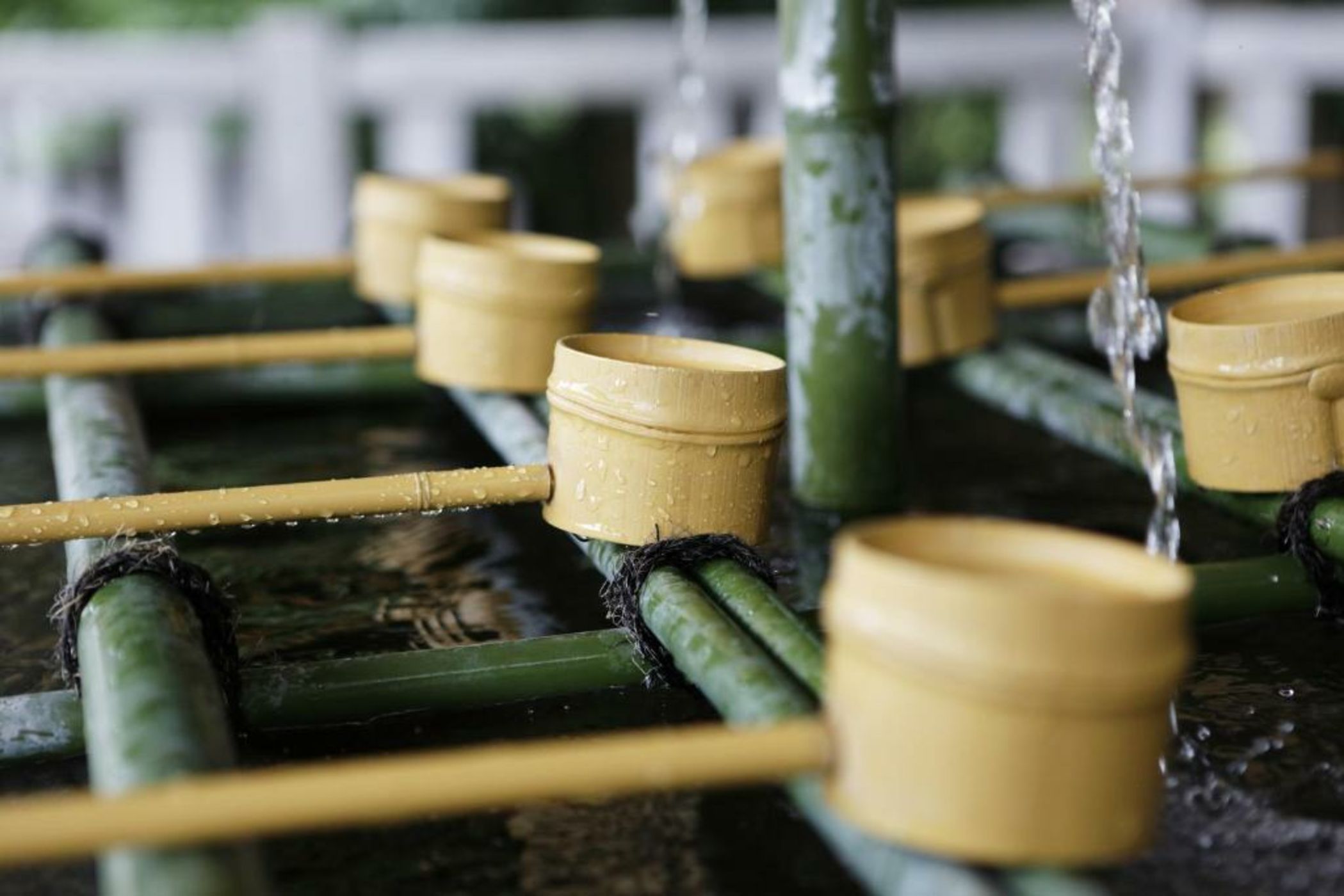 The Capitol Hotel Tokyu