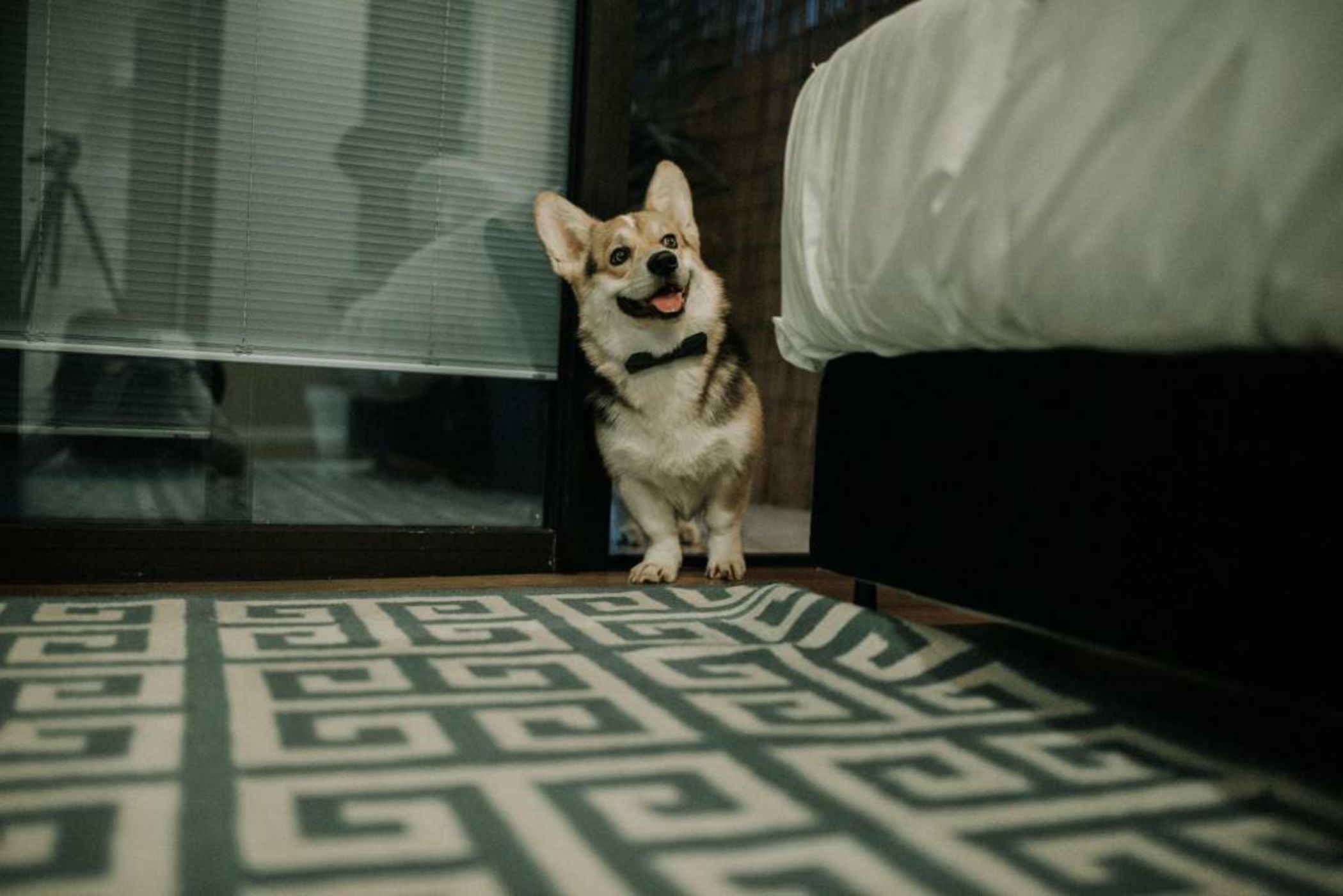 Villa Brown Rothschild, a member of Brown Hotels