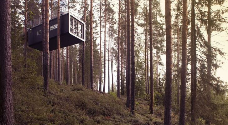 Treehotel