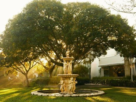 Vineyard Hotel