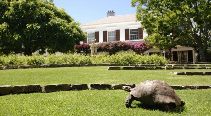 Vineyard Hotel