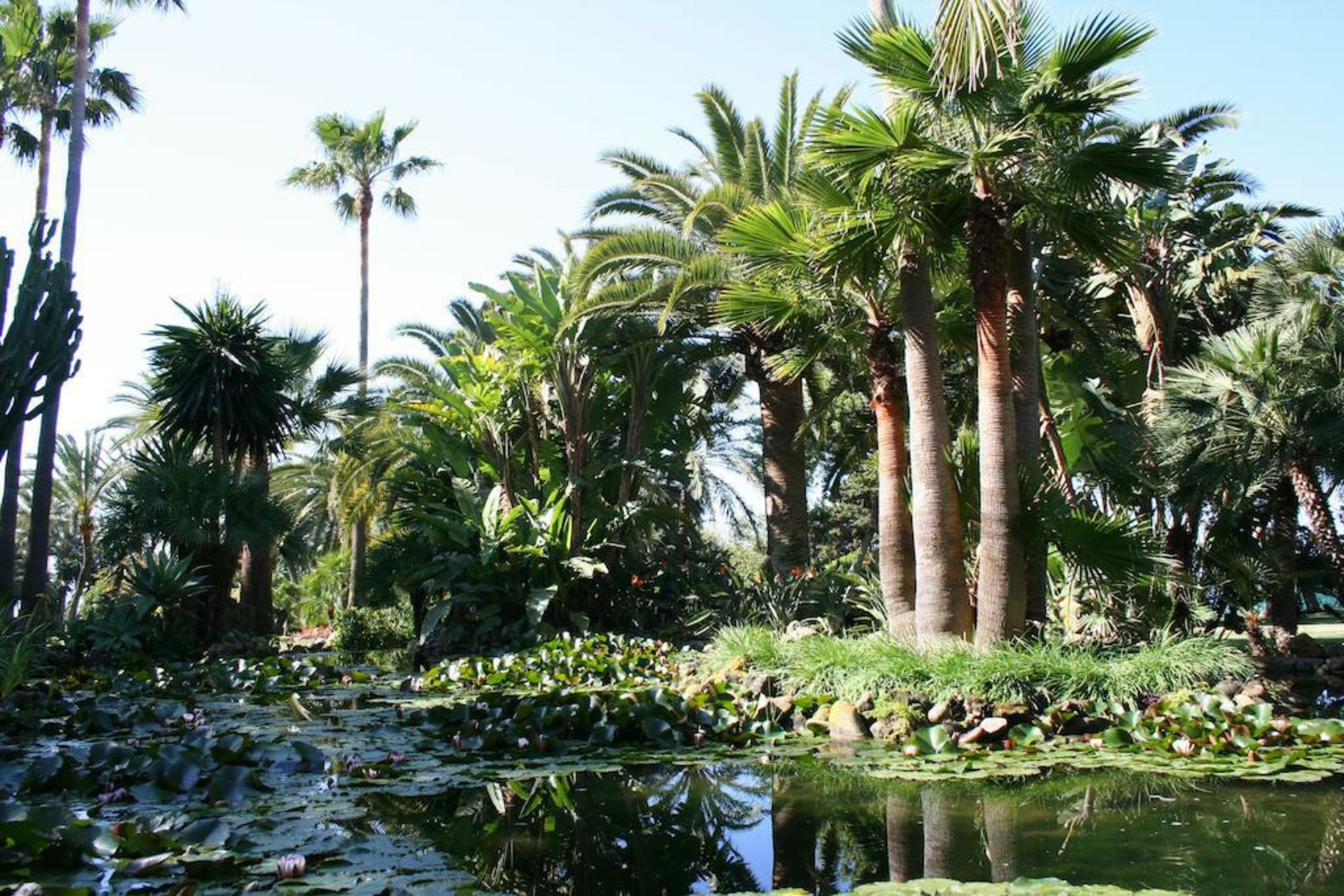 The Oasis by Don Carlos Resort