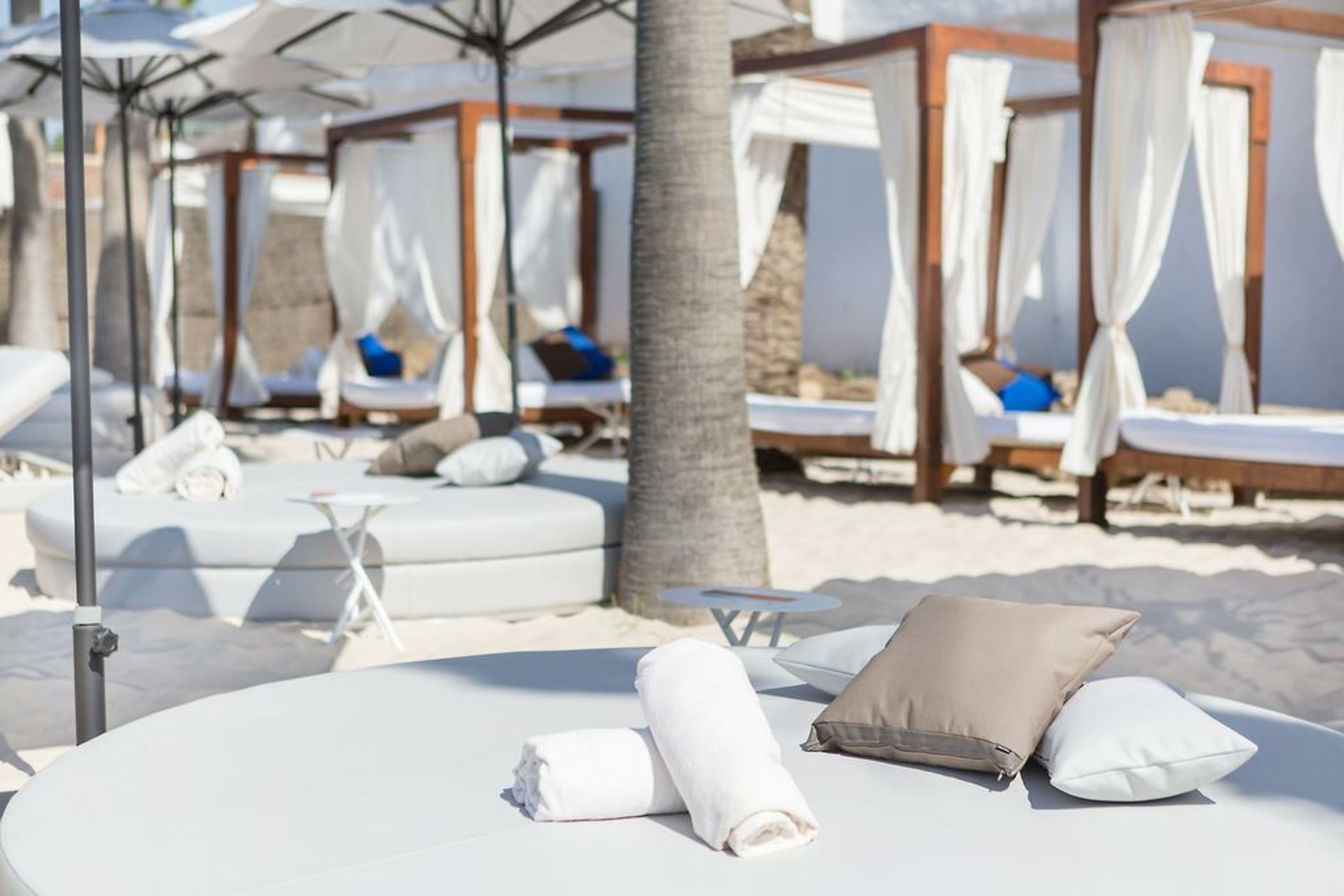 The Oasis by Don Carlos Resort