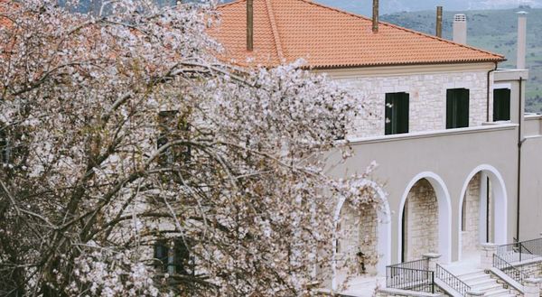Levidi Suites