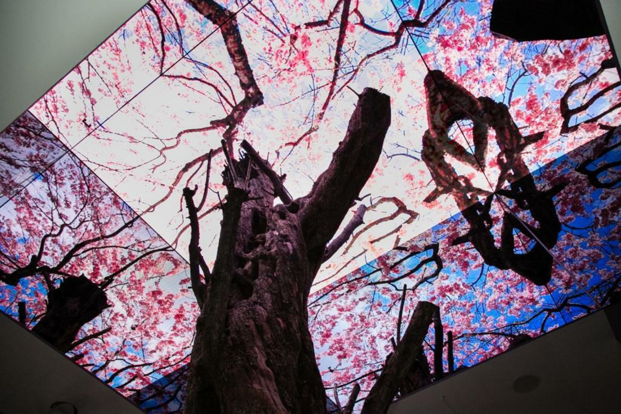 Vista Walkerhill Seoul - formerly W Seoul