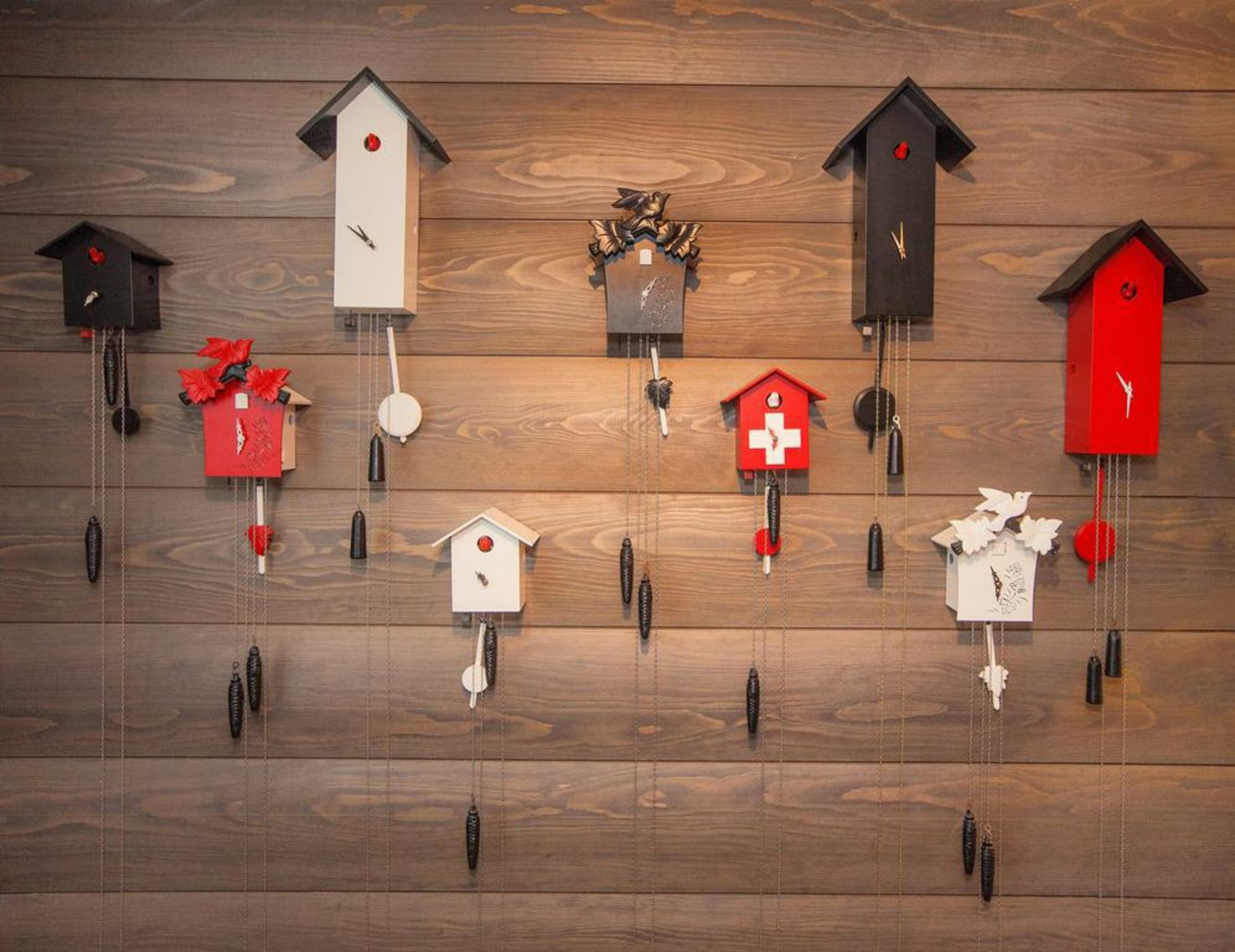 Agora Swiss Night By Fassbind