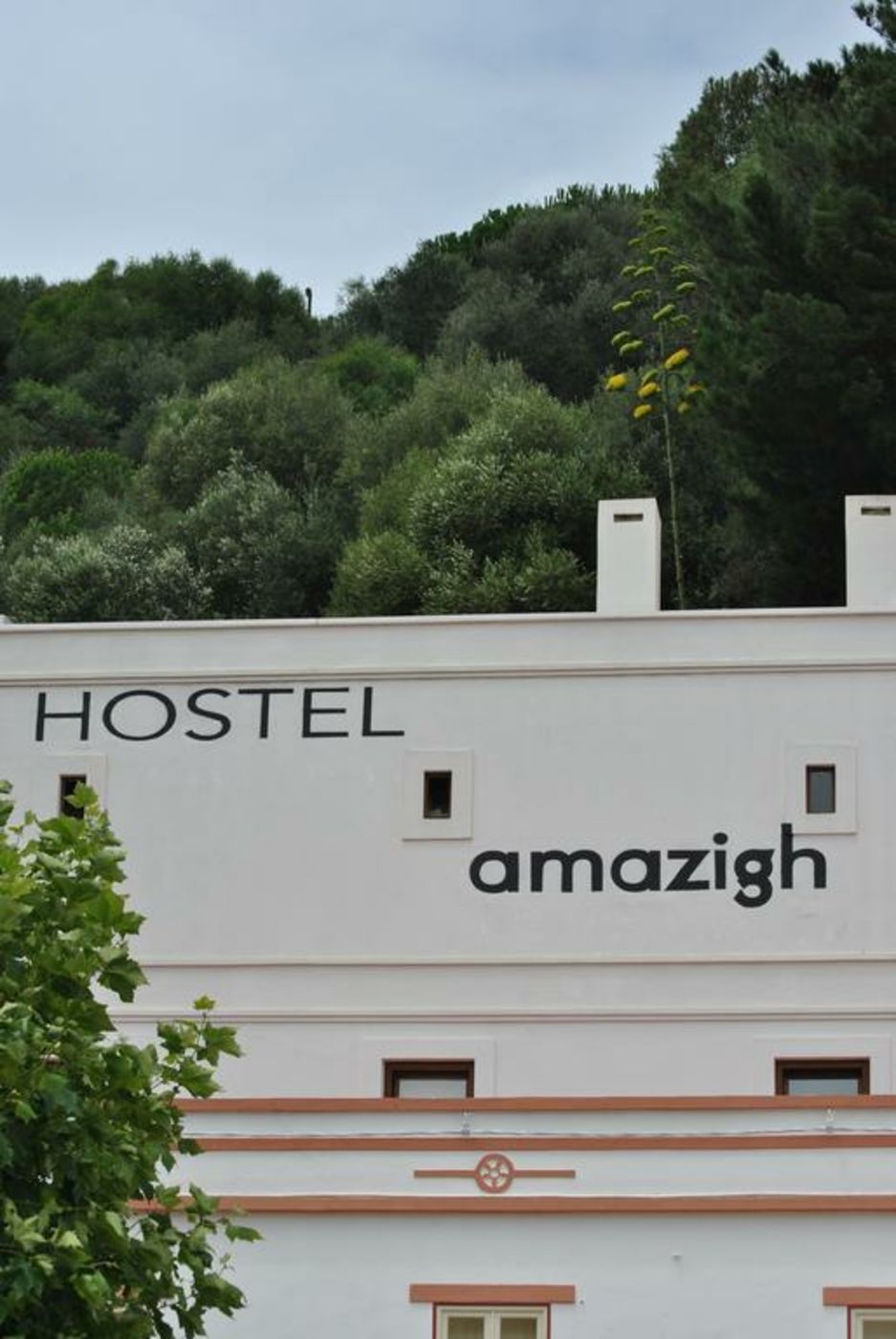 Amazigh Design Hostel