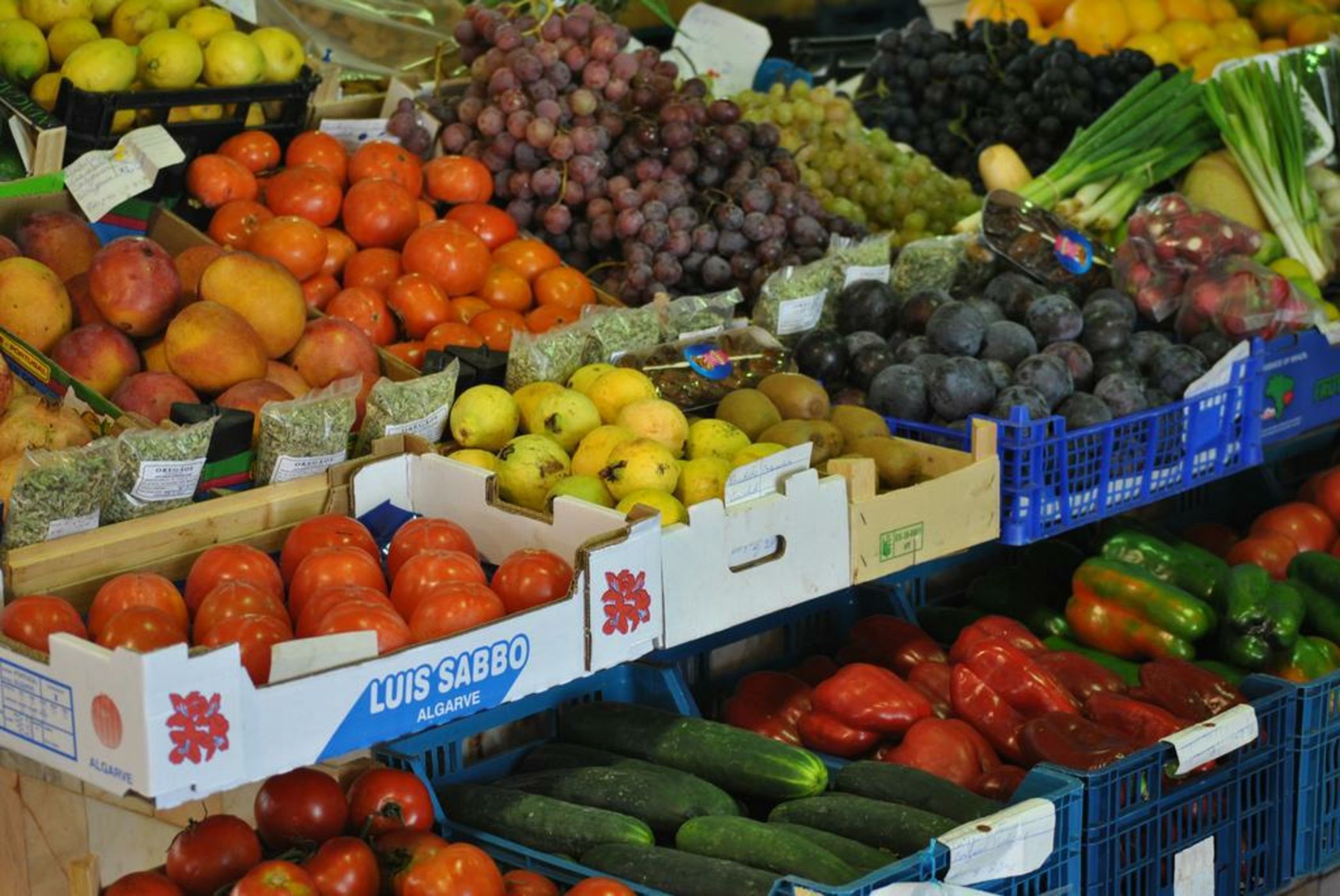 Amazigh Design Hostel