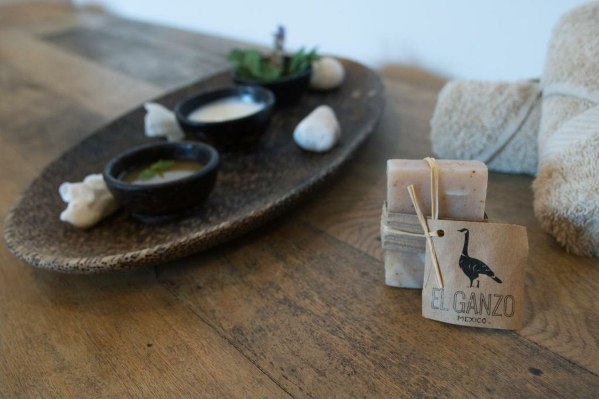 Hotel El Ganzo Adults Only