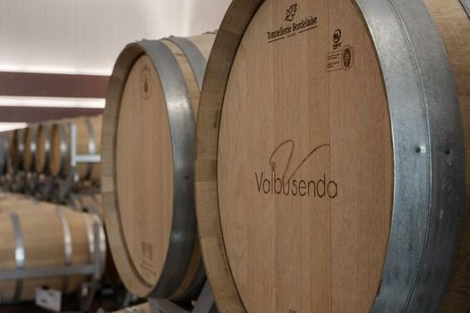 Valbusenda Hotel Bodega & Spa