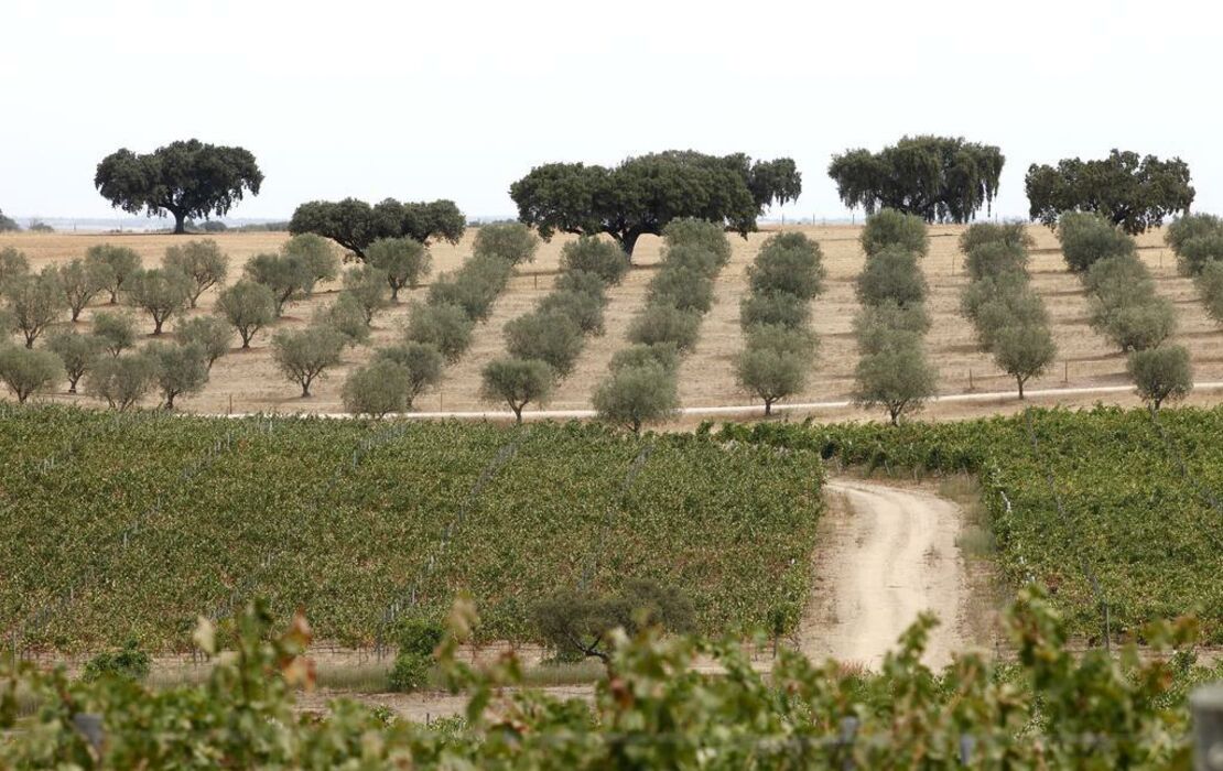 Herdade da Malhadinha Nova - Relais & Châteaux