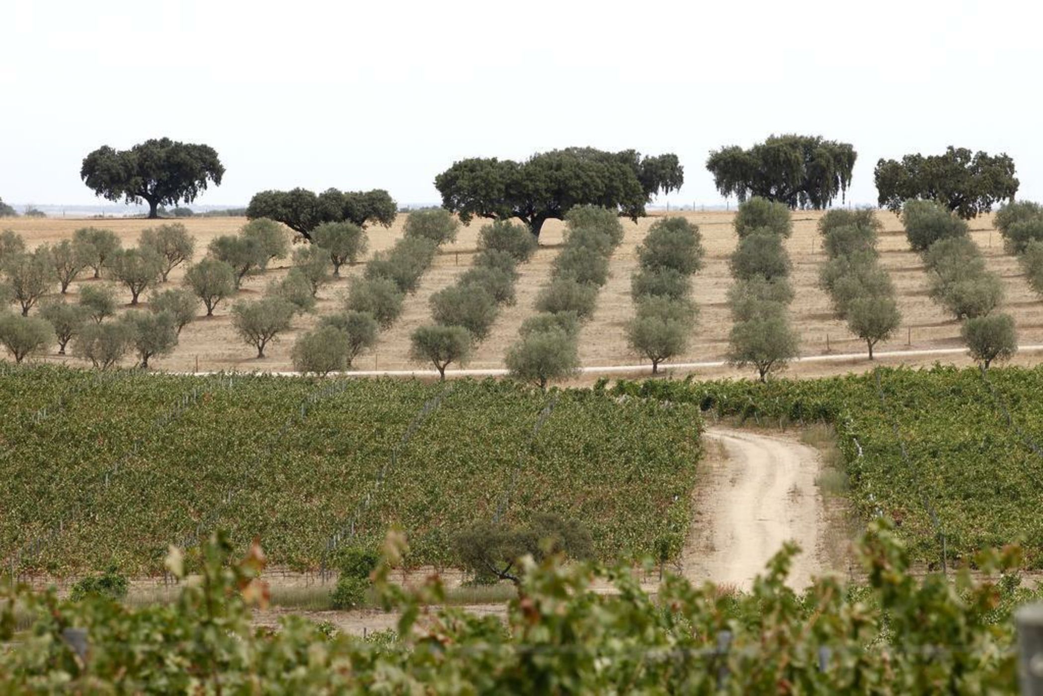 Herdade da Malhadinha Nova - Relais & Châteaux