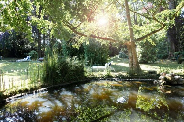 Le Jardin des Plumes