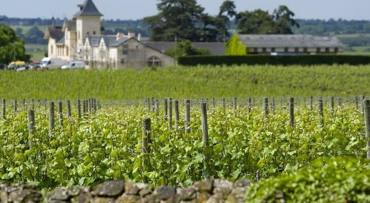 Domaine de la Soucherie - Chambres d'hôtes