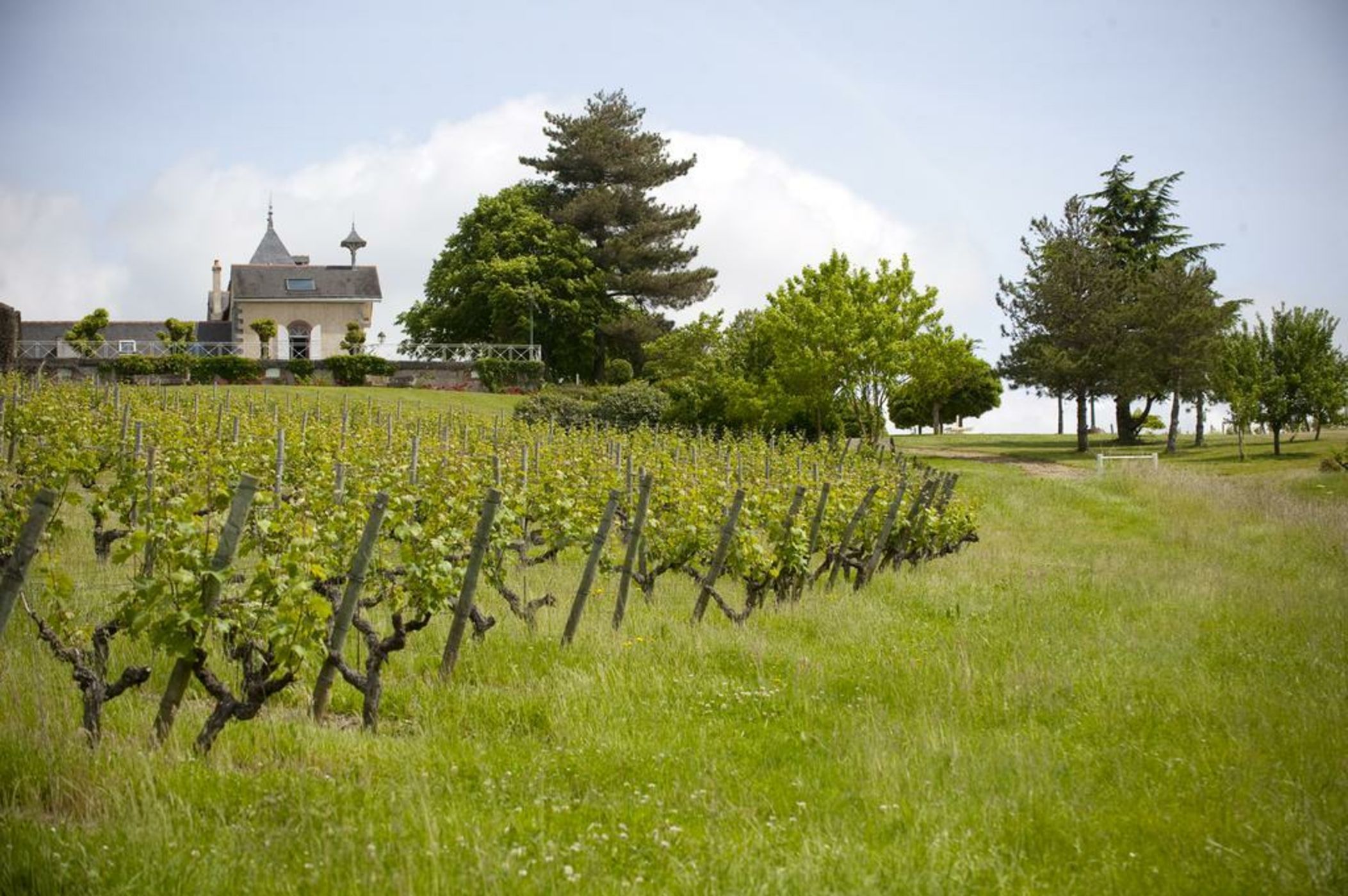 Domaine de la Soucherie - Chambres d'hôtes