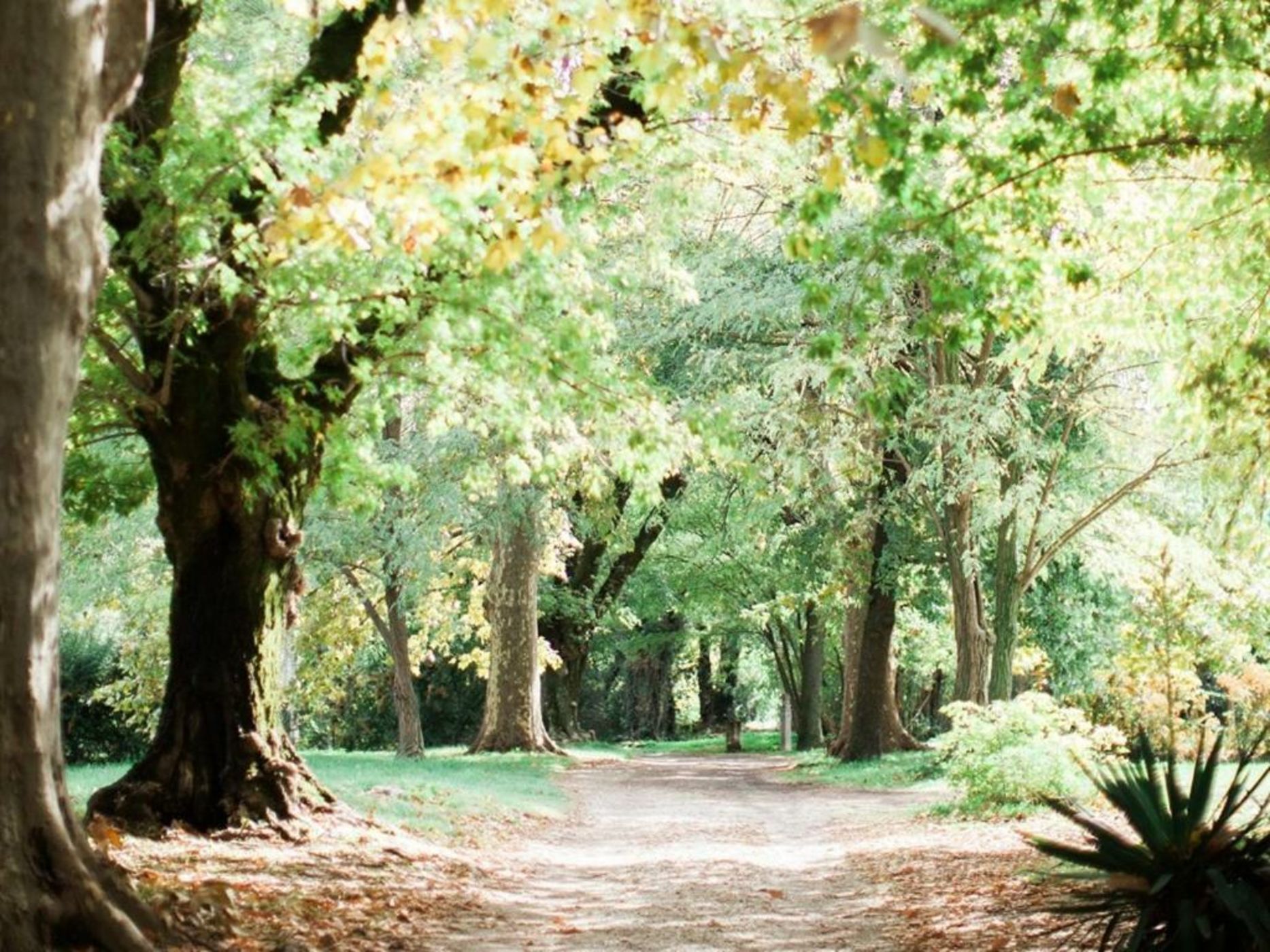 Chambres d'Hôtes Château Beaupré