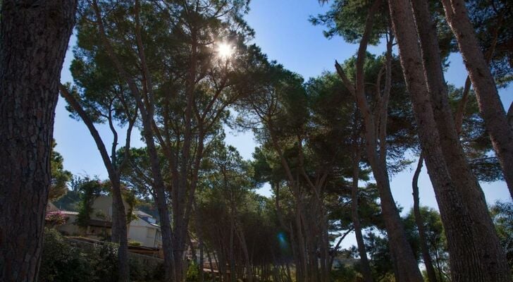 Praia Art Resort - Small Luxury Hotels of the world