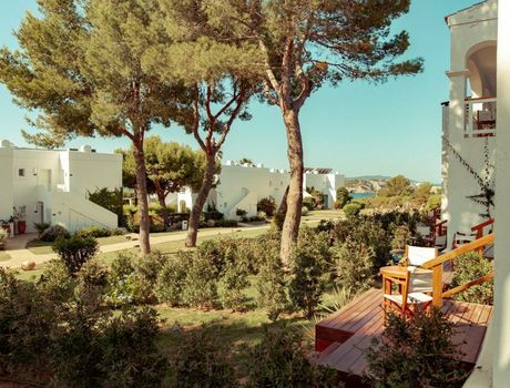 Destino Pacha Ibiza