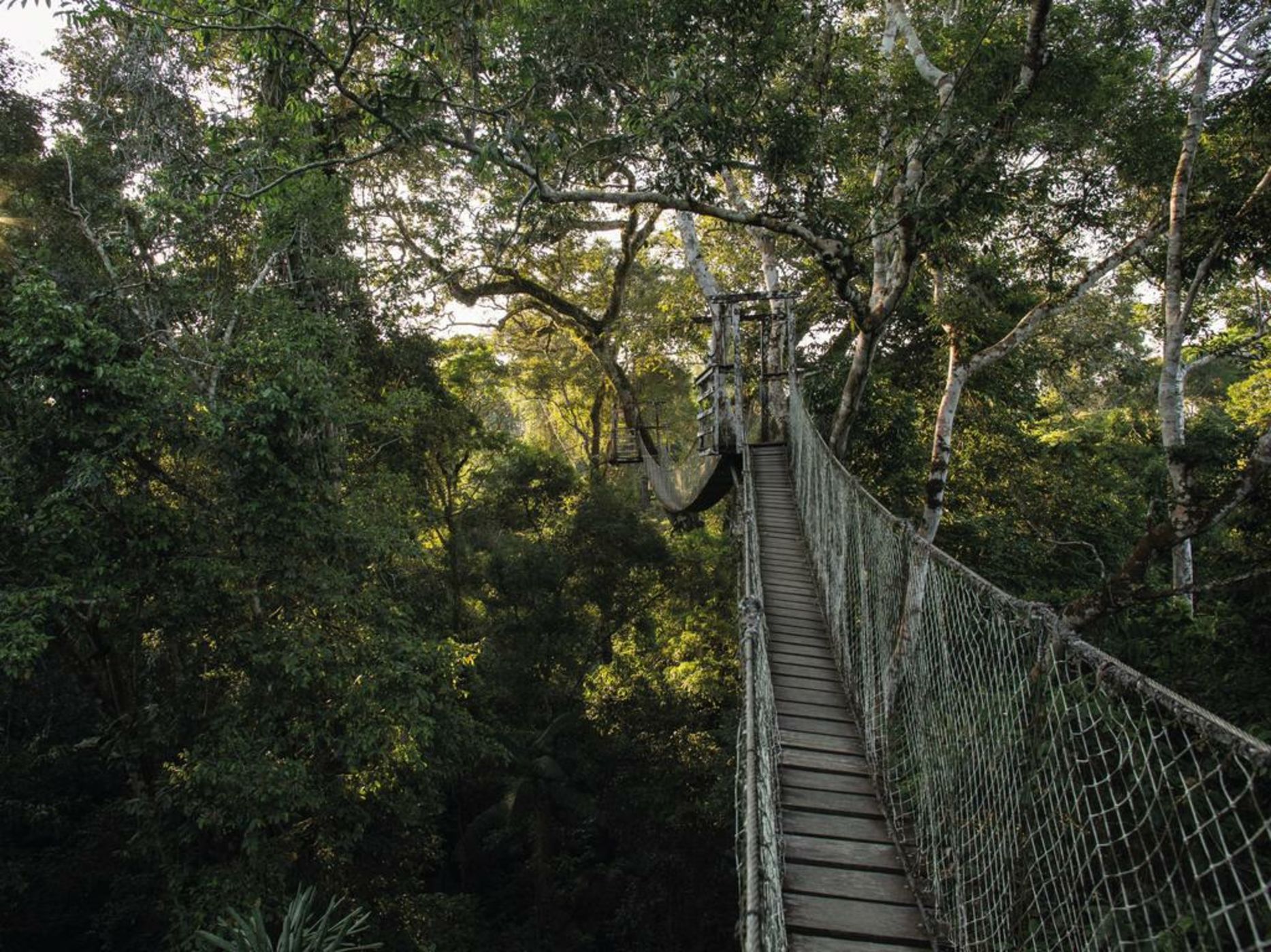 Inkaterra Reserva Amazonica