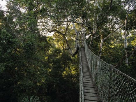 Inkaterra Reserva Amazonica