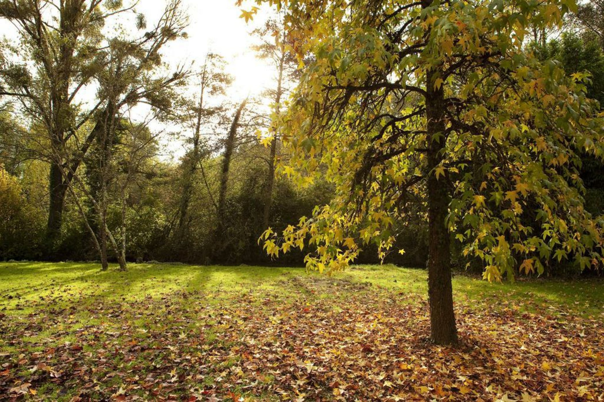 L'Aubinière Hôtel Restaurant & Spa