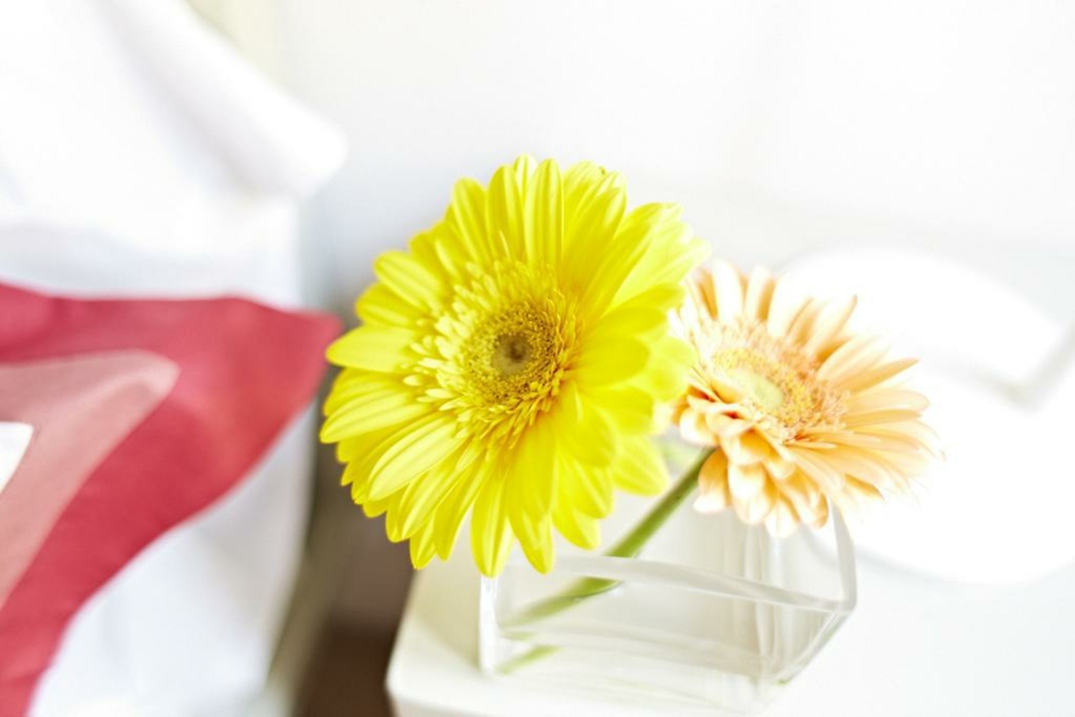 La Bandita Townhouse