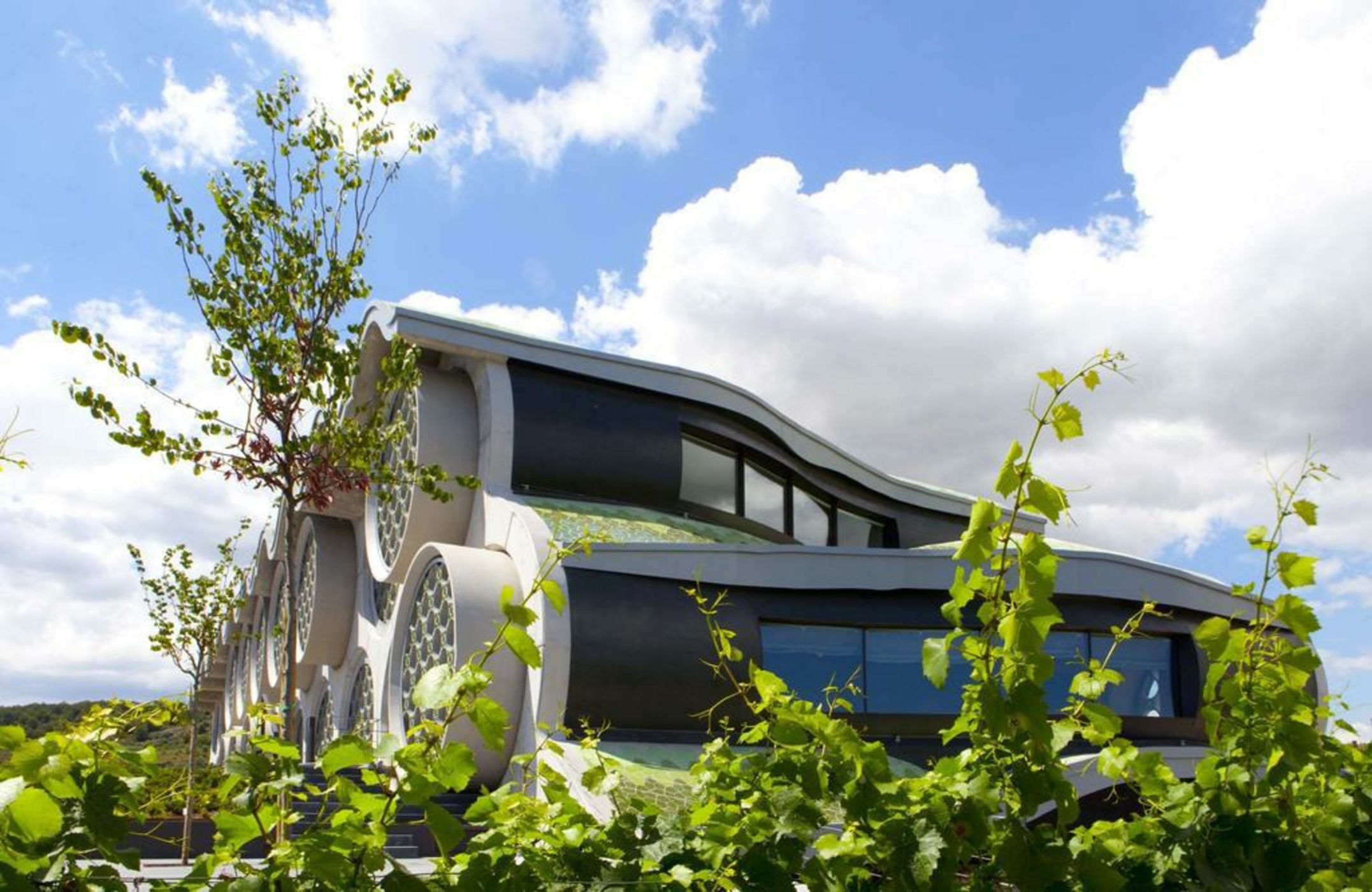 Mastinell Cava & Boutique Hotel by Olivia Hotels Collection