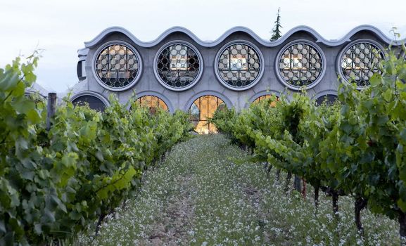 Mastinell Cava & Boutique Hotel by Olivia Hotels Collection