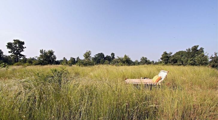 Samode Safari Lodge