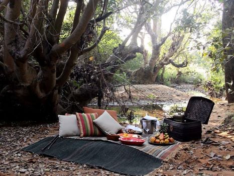 Samode Safari Lodge
