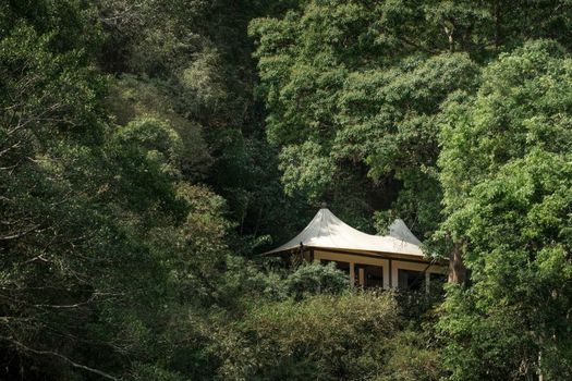 Four Seasons Tented Camp Golden Triangle
