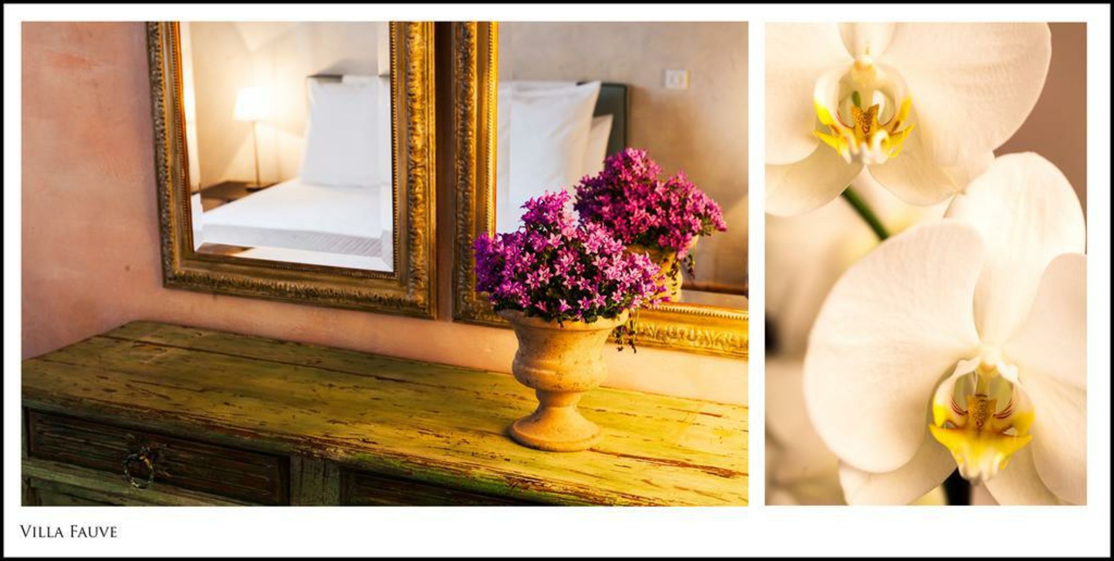 Villa Fauve Maison d'Hôtes