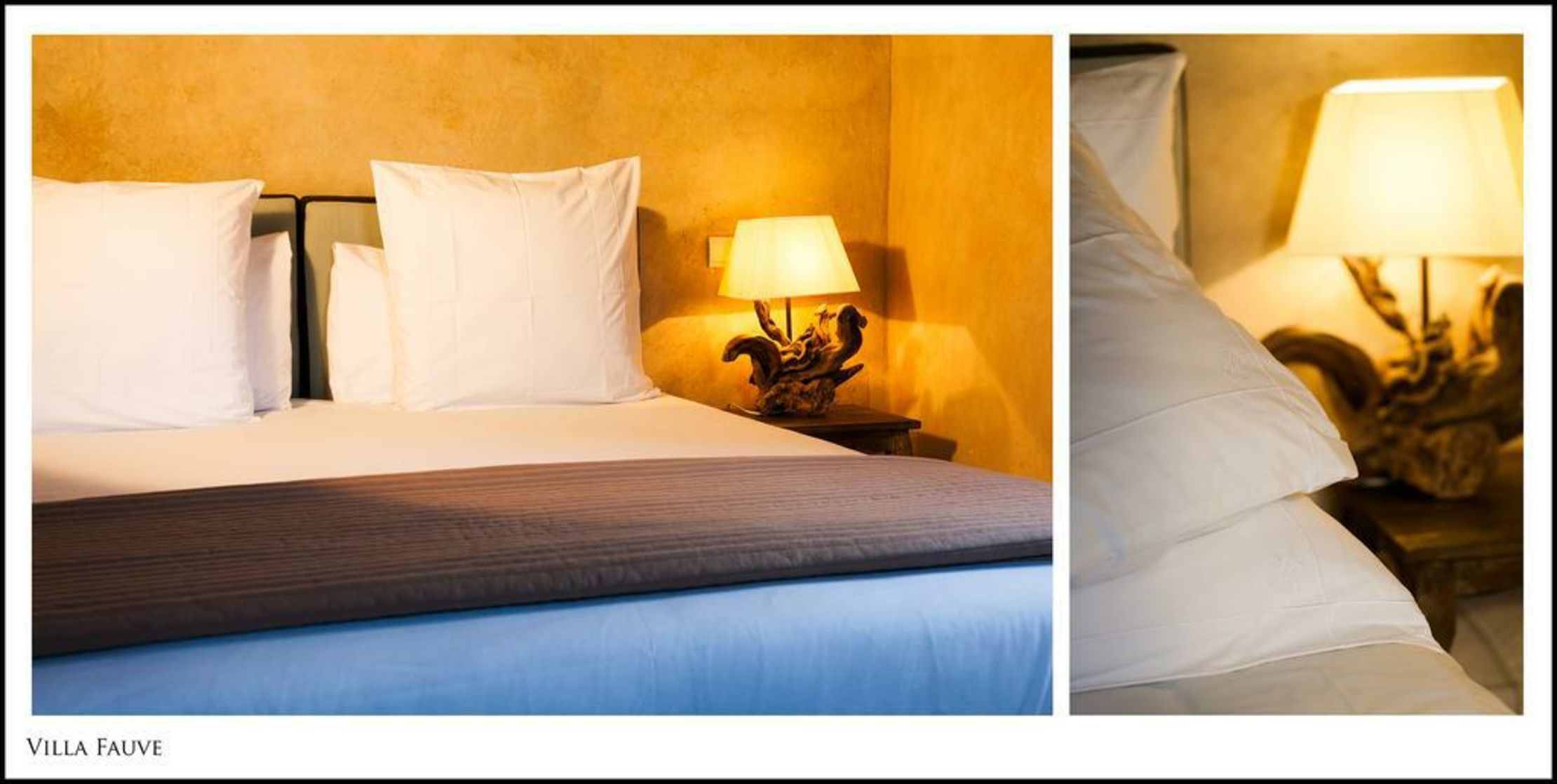 Villa Fauve Maison d'Hôtes