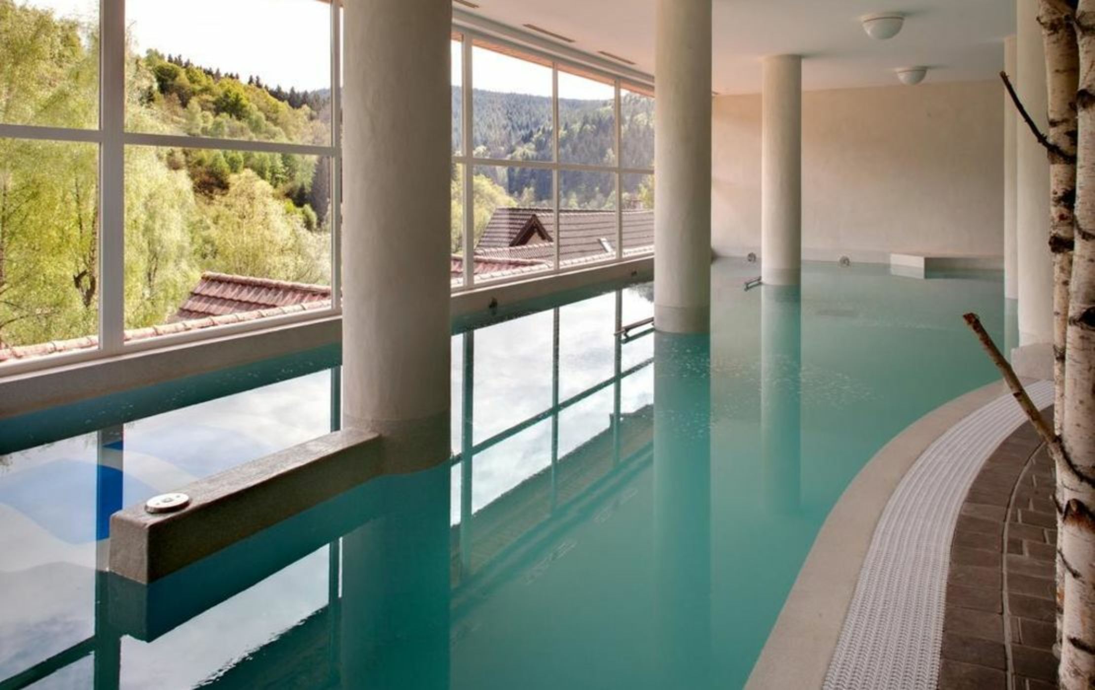 Hostellerie La Cheneaudière & Spa