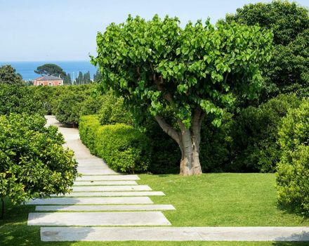 Zash Country Boutique hotel & SPA