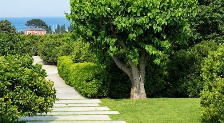 Zash Country Boutique hotel & SPA