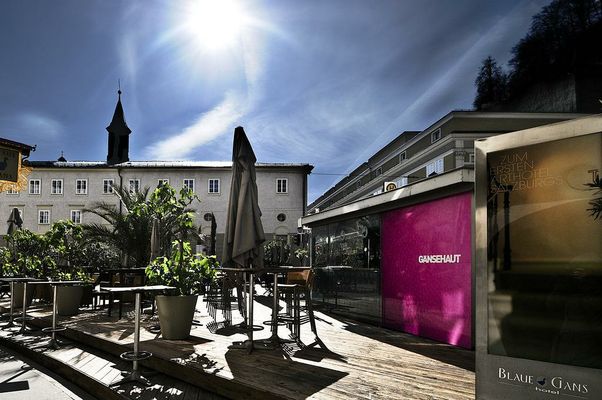 Arthotel Blaue Gans