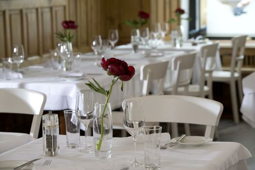 Arthotel Blaue Gans