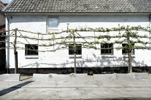 Cour 8 Lofts